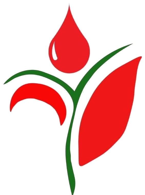 Jibon Foundation